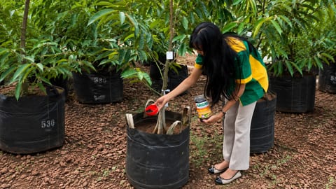 Cara Penggunaan Fullgro Pupuk Organik