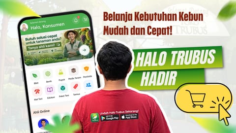 Cara Mudah Belanja Keperluan Berkebun Lewat Halo Trubus