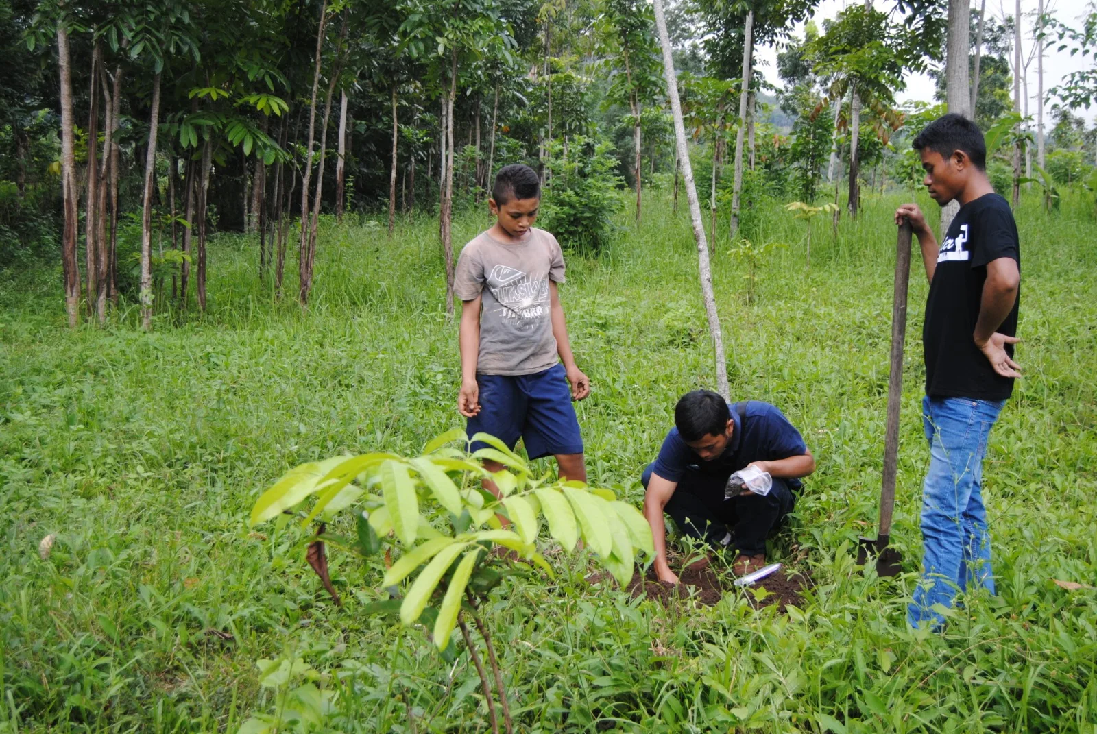 CSR Penghijauan Lingkungan