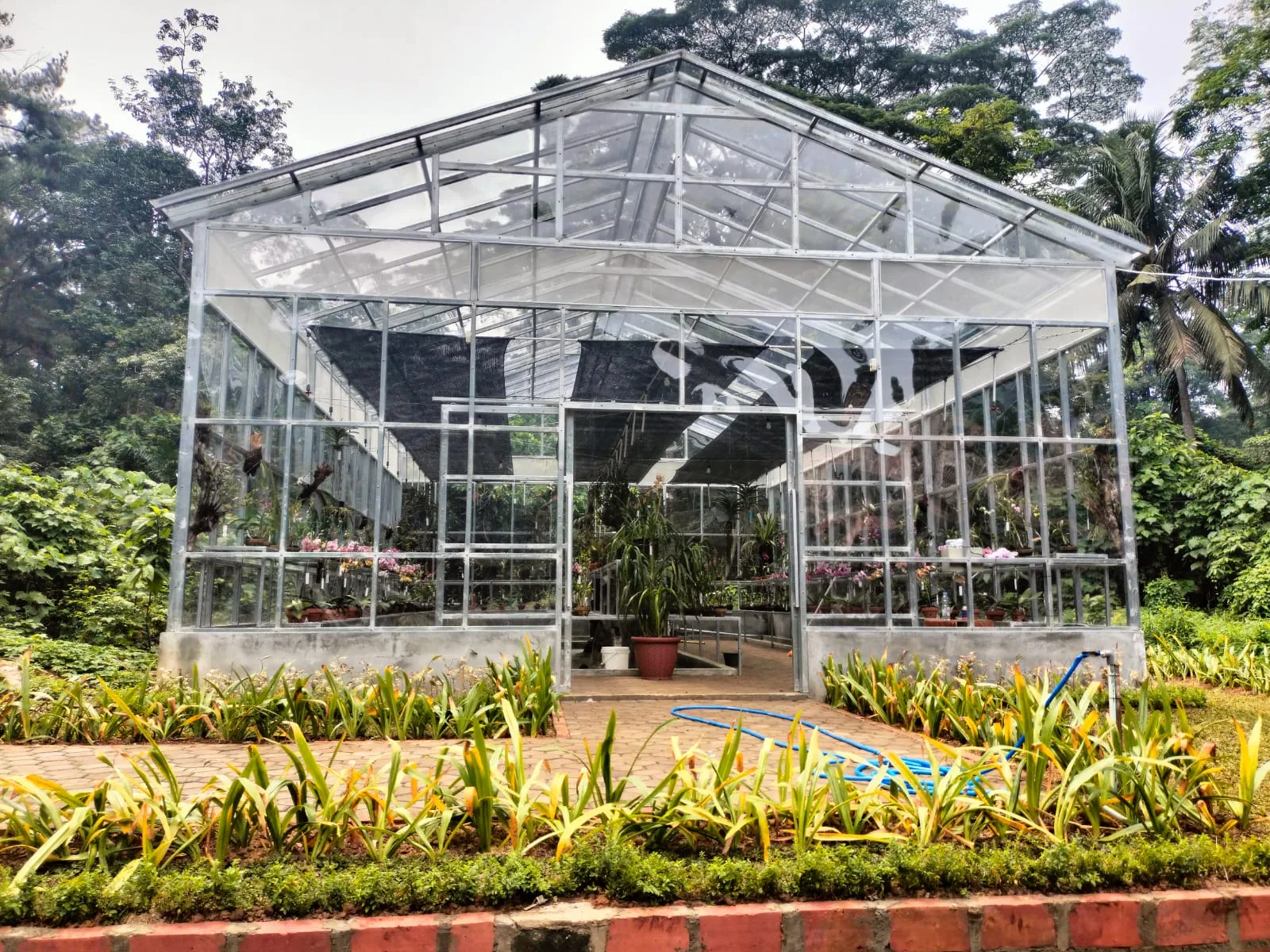 Pengembangan Greenhouse